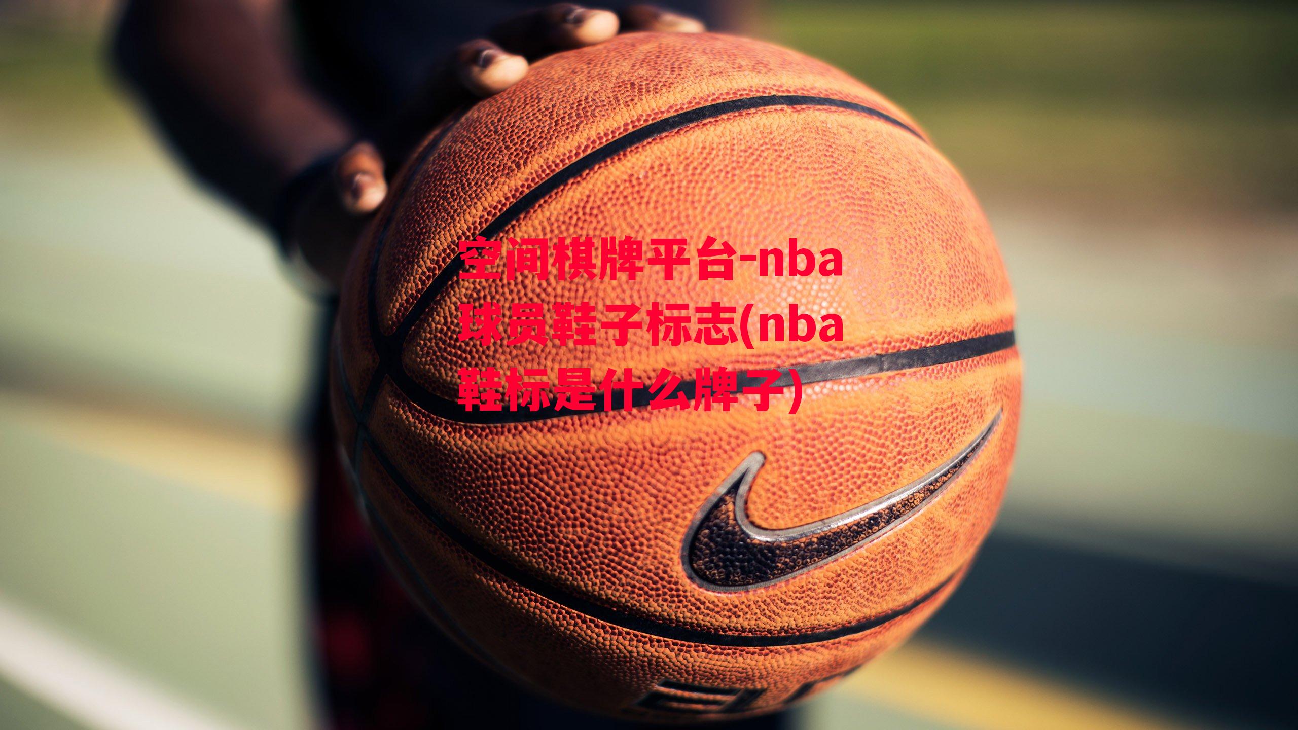 空间棋牌平台-nba球员鞋子标志(nba鞋标是什么牌子)